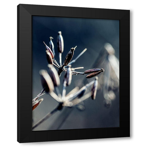 Autumn IV Black Modern Wood Framed Art Print by Incado