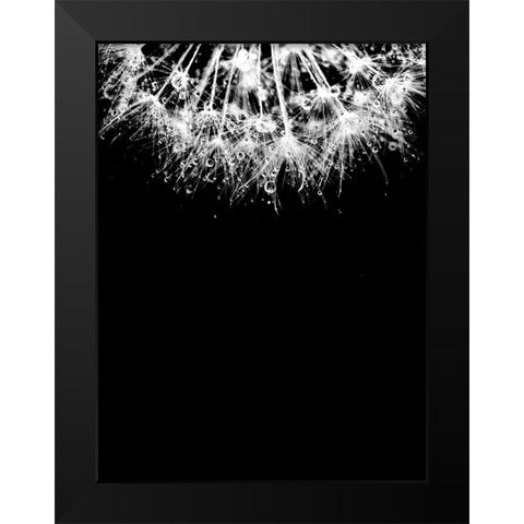 Crystal II Black Modern Wood Framed Art Print by Incado