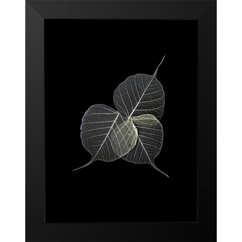 Dark Leaves Black Modern Wood Framed Art Print by Incado