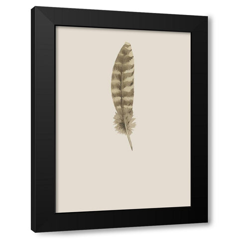 Feather 07 Black Modern Wood Framed Art Print with Double Matting by Incado