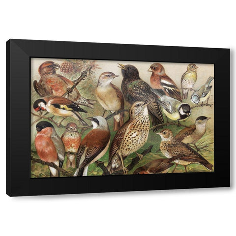 Collection I Black Modern Wood Framed Art Print with Double Matting by PhotoINC Studio