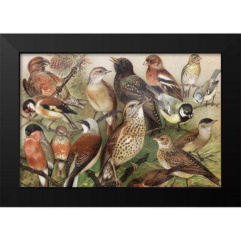 Collection I Black Modern Wood Framed Art Print by PhotoINC Studio