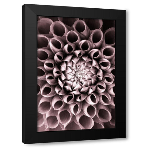 Just open Black Modern Wood Framed Art Print by PhotoINC Studio