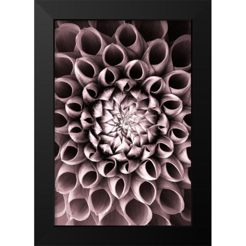 Just open Black Modern Wood Framed Art Print by PhotoINC Studio