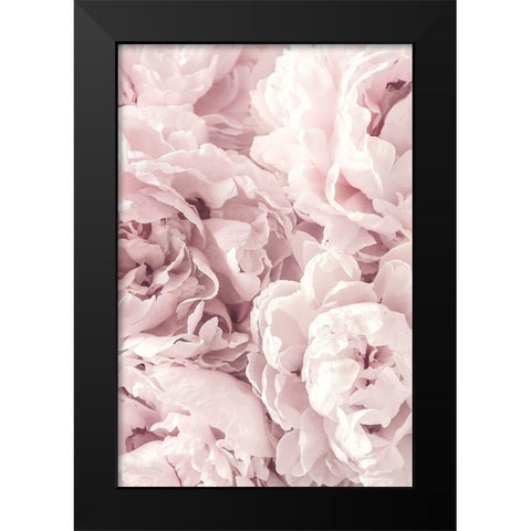 Peony Black Modern Wood Framed Art Print by PhotoINC Studio