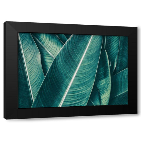 Banana Black Modern Wood Framed Art Print with Double Matting by PhotoINC Studio