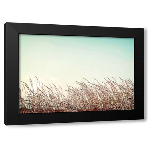Retro Grass Black Modern Wood Framed Art Print with Double Matting by PhotoINC Studio
