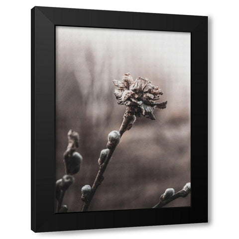 Spring Black Modern Wood Framed Art Print with Double Matting by Incado
