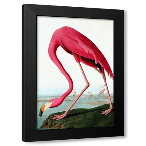 Flamingo Black Modern Wood Framed Art Print with Double Matting by Incado