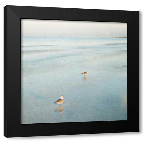 Two Birds on Beach Black Modern Wood Framed Art Print by Juracek, John