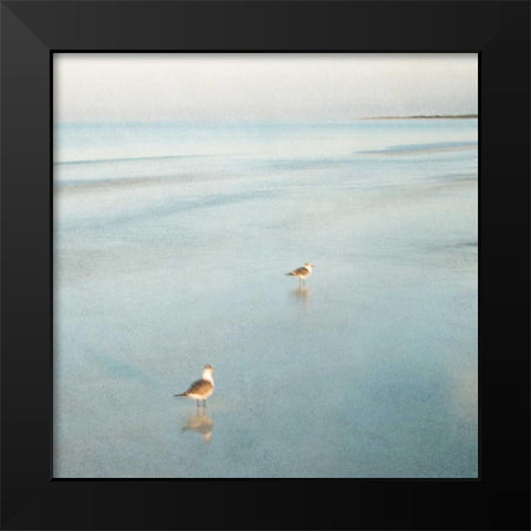 Two Birds on Beach Black Modern Wood Framed Art Print by Juracek, John