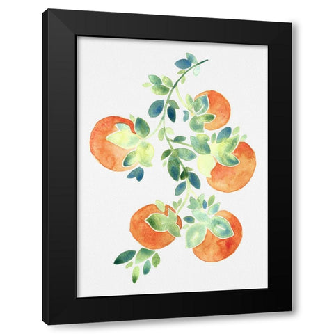 Watercolor Oranges Black Modern Wood Framed Art Print with Double Matting by Juncos, Cami