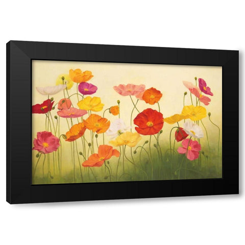 Sunlit Poppies Black Modern Wood Framed Art Print with Double Matting by Kroner, Janelle