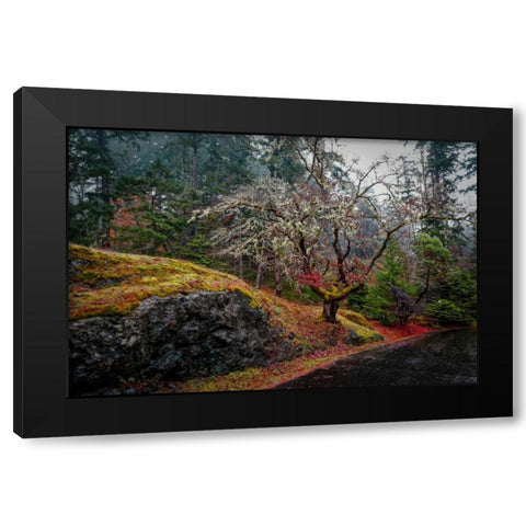 On the Road Black Modern Wood Framed Art Print by Kostka, Vladimir