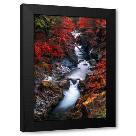 Water in the Fall Black Modern Wood Framed Art Print with Double Matting by Kostka, Vladimir
