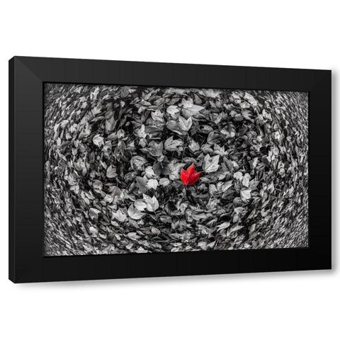 Alone Black Modern Wood Framed Art Print with Double Matting by Kostka, Vladimir