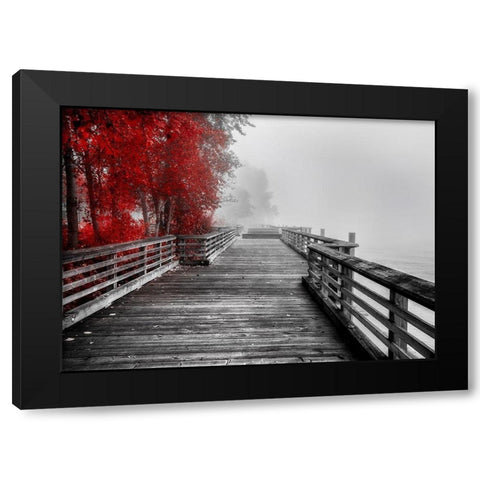 Fall Walkway Black Modern Wood Framed Art Print with Double Matting by Kostka, Vladimir