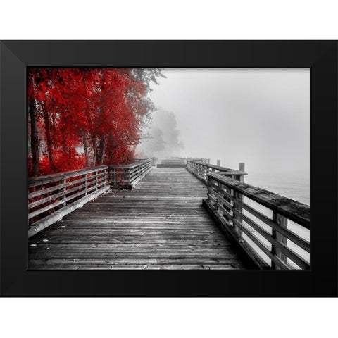 Fall Walkway Black Modern Wood Framed Art Print by Kostka, Vladimir