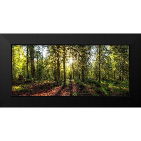 Golden Forest Black Modern Wood Framed Art Print by Kostka, Vladimir