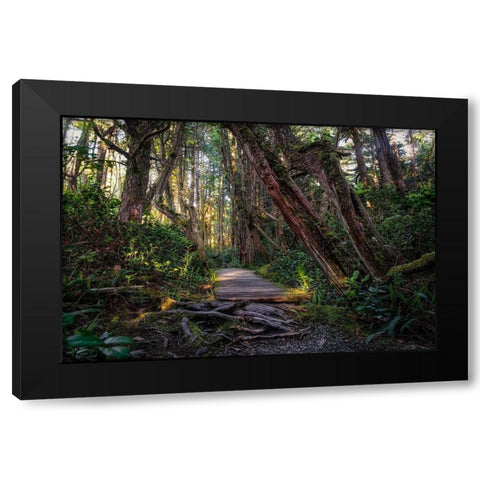 The Path Black Modern Wood Framed Art Print by Kostka, Vladimir