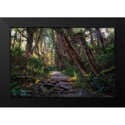 The Path Black Modern Wood Framed Art Print by Kostka, Vladimir