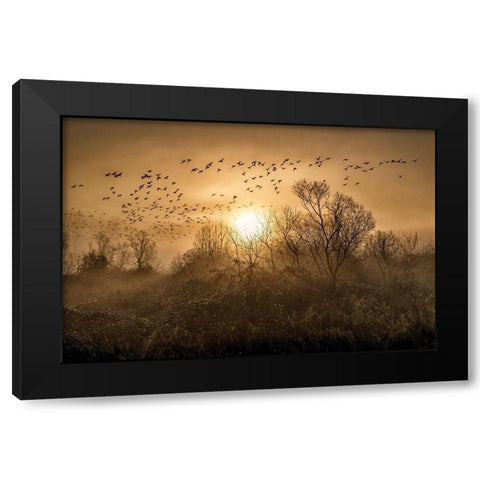 The Flight Black Modern Wood Framed Art Print with Double Matting by Kostka, Vladimir