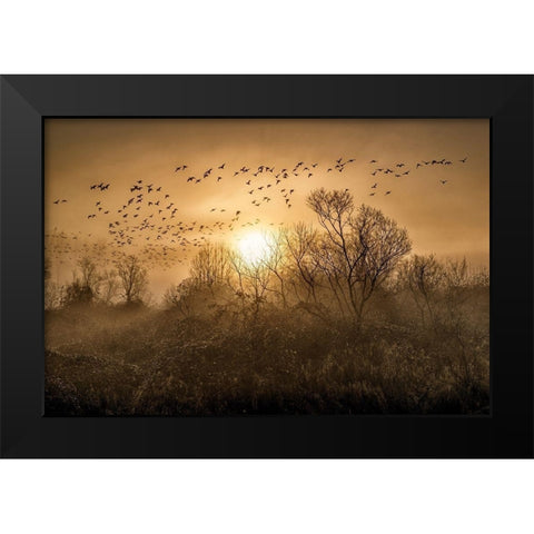 The Flight Black Modern Wood Framed Art Print by Kostka, Vladimir