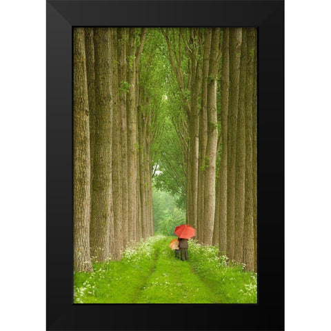 Two Umbrellas, Belgium Black Modern Wood Framed Art Print by Klug, Alan