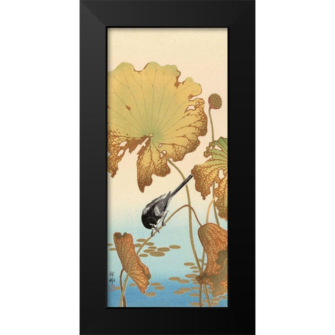 Japanese Wagtail on Lotus Plant, 1925-1936 Black Modern Wood Framed Art Print by Koson, Ohara