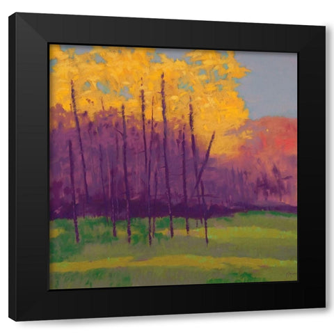 Bright View No. 3 Black Modern Wood Framed Art Print with Double Matting by Kelly, Mike
