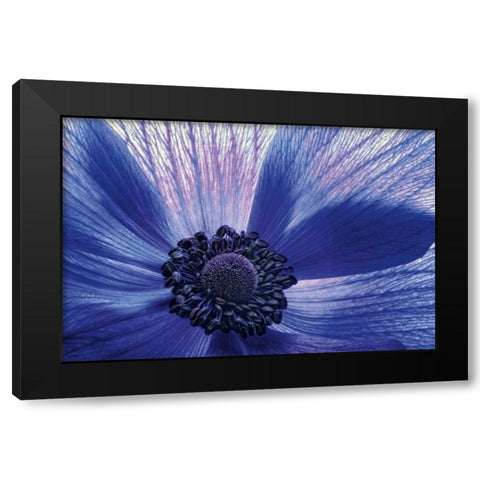 Windsong Black Modern Wood Framed Art Print by LeBlanc, Dawn