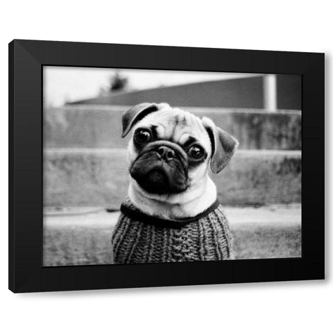 Cleo Black Modern Wood Framed Art Print by Levin, Kim