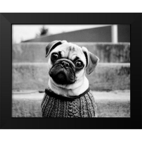 Cleo Black Modern Wood Framed Art Print by Levin, Kim