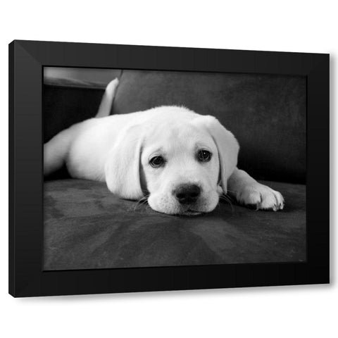 Finn Black Modern Wood Framed Art Print with Double Matting by Levin, Kim