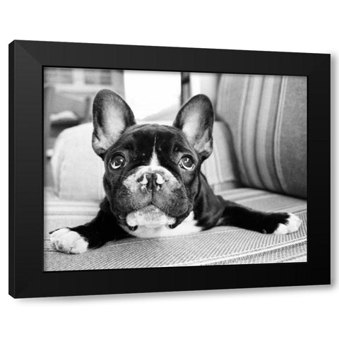 Hugo Black Modern Wood Framed Art Print by Levin, Kim