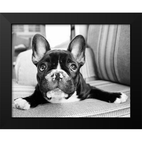 Hugo Black Modern Wood Framed Art Print by Levin, Kim