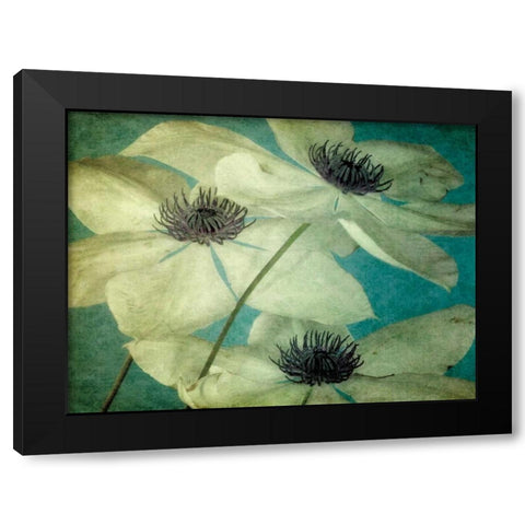 Klema Black Modern Wood Framed Art Print by LeBlanc, Dawn