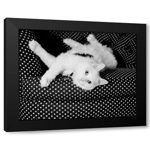 Birdie Black Modern Wood Framed Art Print with Double Matting by Levin, Kim