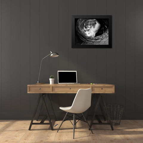 Picasso Black Modern Wood Framed Art Print by Levin, Kim