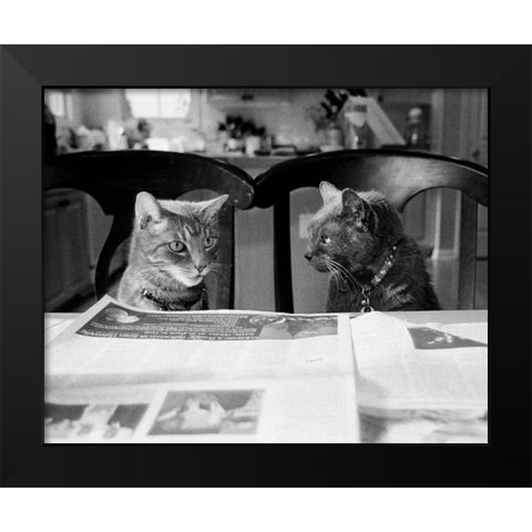 Not While Im Reading Black Modern Wood Framed Art Print by Levin, Kim