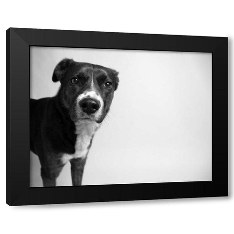 Reilly Black Modern Wood Framed Art Print by Levin, Kim