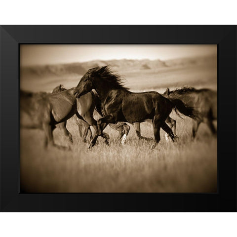 Dark Horse Black Modern Wood Framed Art Print by Leacock, J.C.