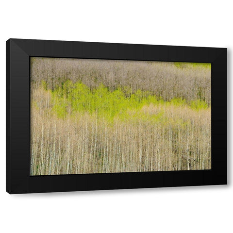 Emergence Black Modern Wood Framed Art Print by Leacock, J.C.