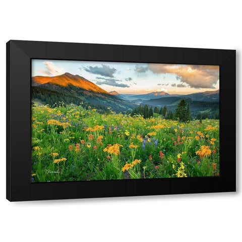 Wash Gulch Wild Black Modern Wood Framed Art Print by Leacock, J.C.