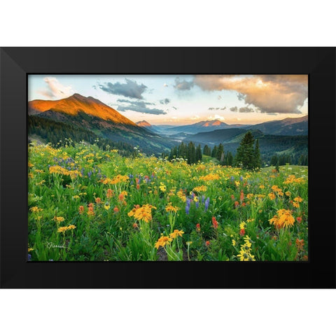 Wash Gulch Wild Black Modern Wood Framed Art Print by Leacock, J.C.