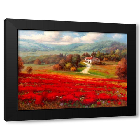 Poppy Fields Afar Black Modern Wood Framed Art Print with Double Matting by Marino