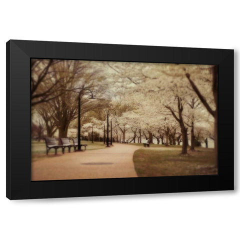 Springtime Stroll Black Modern Wood Framed Art Print with Double Matting by Mikaels, Natalie