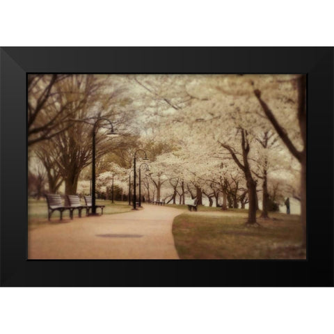 Springtime Stroll Black Modern Wood Framed Art Print by Mikaels, Natalie