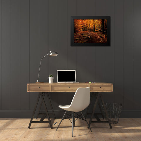 Autumn Path Black Modern Wood Framed Art Print by Mikaels, Natalie