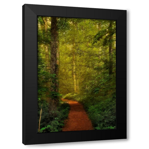 Fairytale Path Black Modern Wood Framed Art Print with Double Matting by Mikaels, Natalie